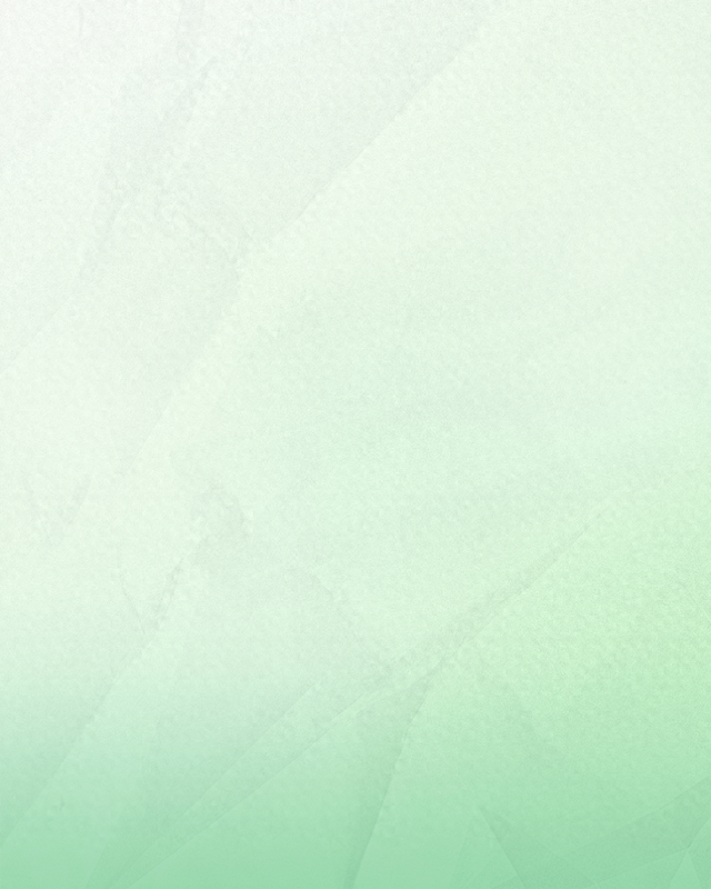 揭阳市揭西县棉湖镇：古镇蝶变焕新颜，文旅融合谱新篇