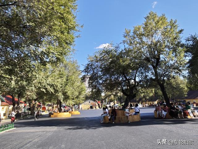 哈尔滨“毛子房”华丽转身为“黄房子”
