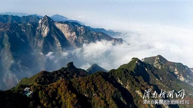 少华秋色“醉”游人