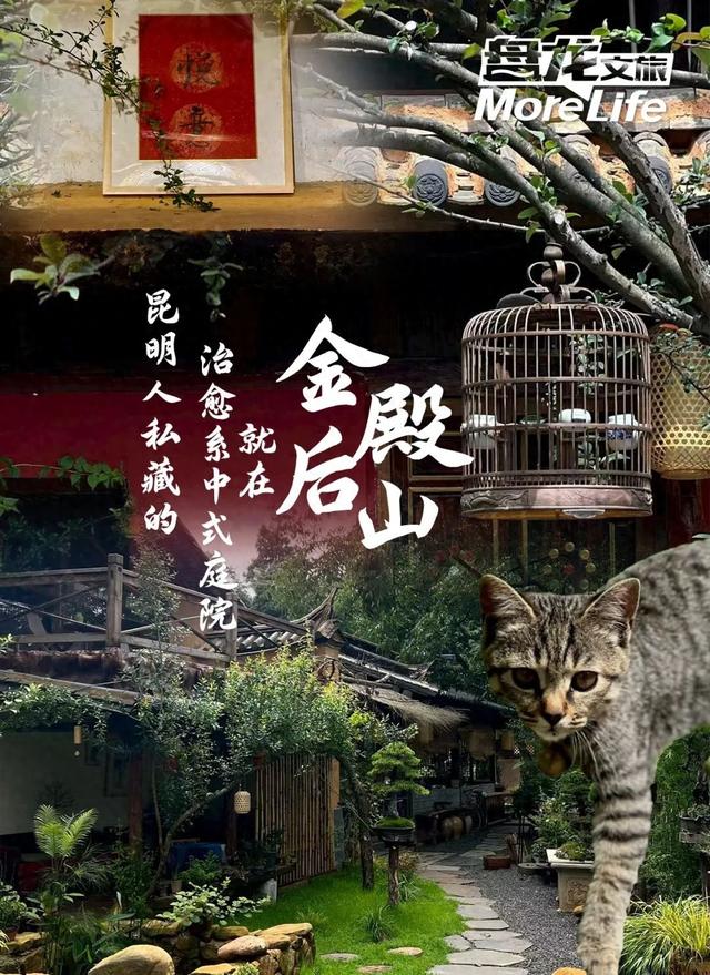 昆明人私藏的治愈系中式庭院就在金殿后山