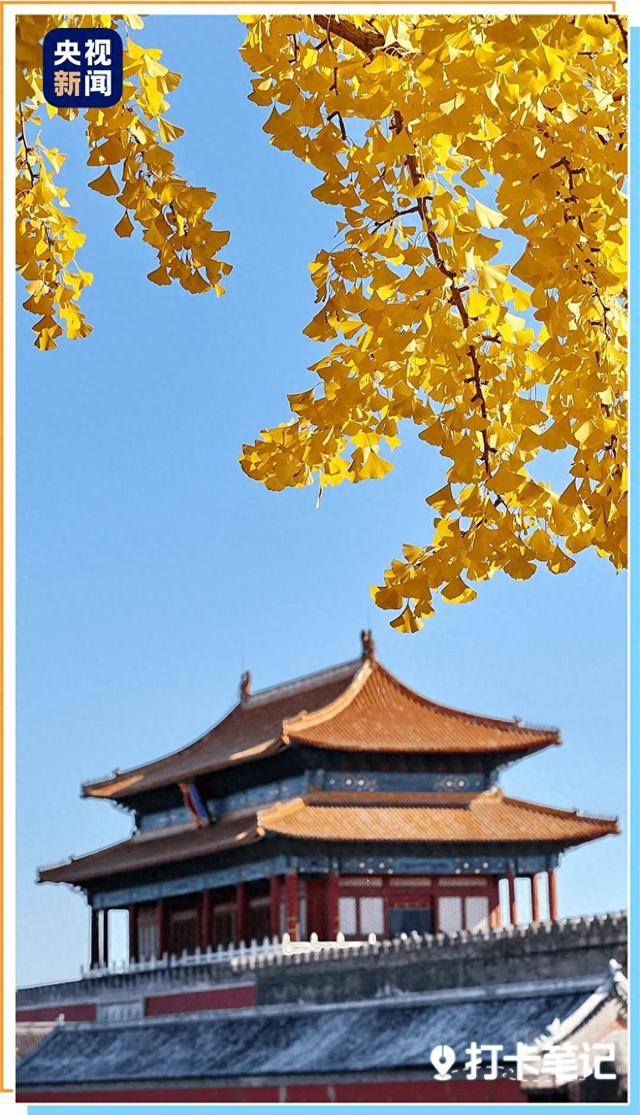 关于清明节的内容资料（200件顶流国宝必看清单来了）