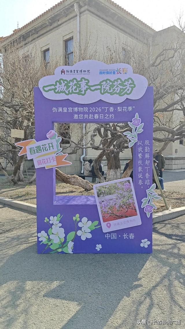 一城花事 一院芬芳——伪满皇宫博物院2026“丁香·梨花季”启幕