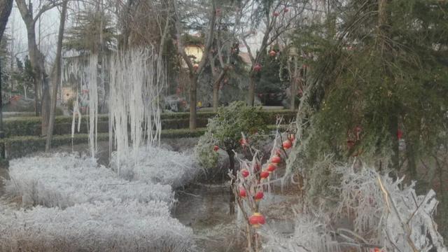 九龙公园：千平冰挂上线 解锁冬日限定浪漫