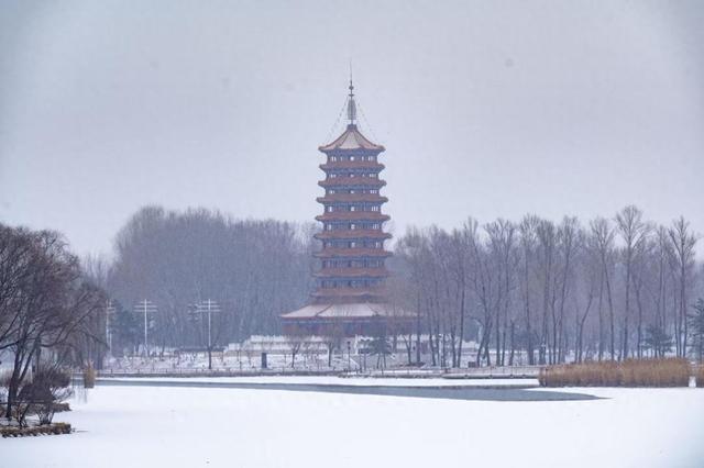 美图｜长城、世园、延庆奥园处处雪景如画