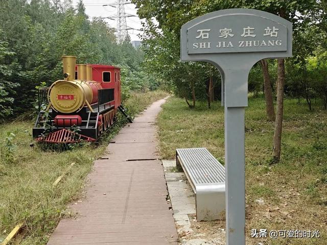 寻趣石家庄——光华路上的绿化带