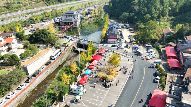 双牌：银杏黄 乡村火 “风景”变“产业”