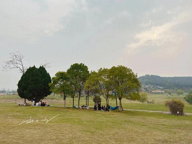华中唯一“草原主题”5A景区，就在武汉，游客误以为穿越到内蒙？