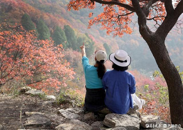 立冬时节，景色如画