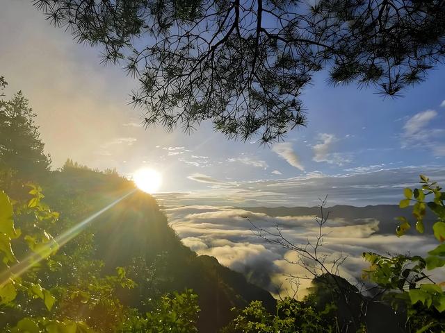 今宵一夜秋凉，再别清欢苏馬荡上