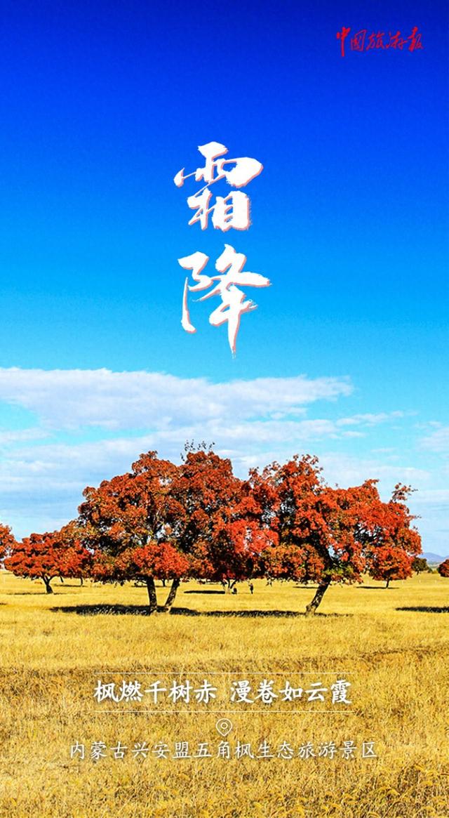 霜降丨收尽秋光惊艳色 静候冬日好时光