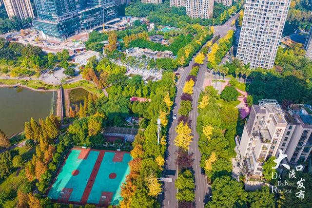 大渡口这里开启“美颜模式”，打卡要趁早～