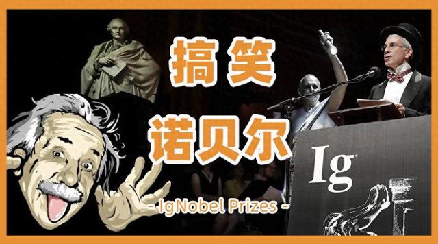 2025搞笑诺奖：斑马纹牛防蚊	、喝酒外语更溜、蜥蜴独爱芝士披萨