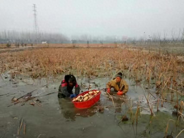 在河南农村，他们自建起一个3A级景区