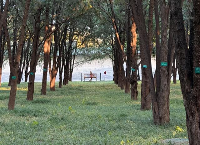 北京秋韵看地坛，网红打卡外有深意，老园子里的时光密码