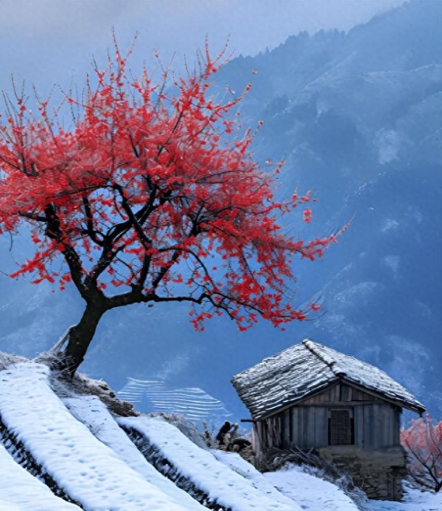 2024冬月初一是哪天（老辈人挑宝宝出生吉日）