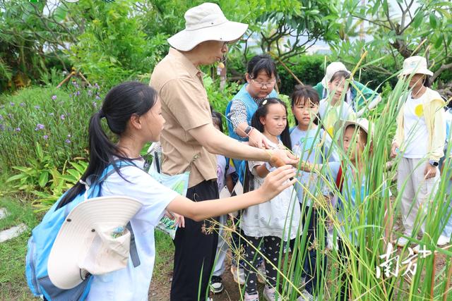 绿美珠海暑期研学营：超80名青少年体验生态与文化共融之旅
