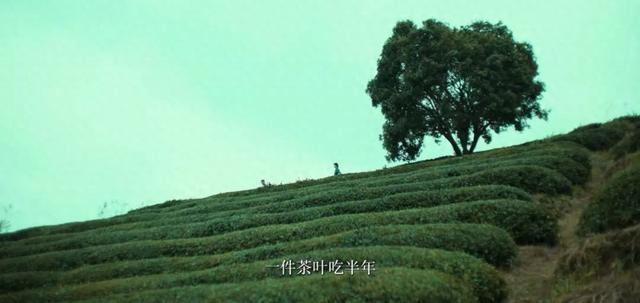 又找到一个小众秘境，在湖南也能避暑？真的没骗你！