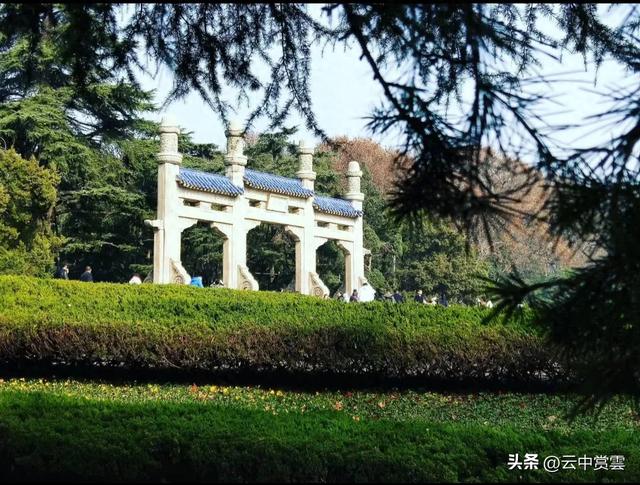 南京中山陵梧桐大道改为步行道，不妨将9路公交车延伸陵墓牌坊前