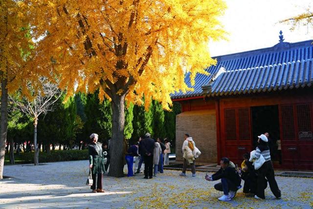 初冬拾趣 一城山水满目诗——石家庄这些出游地带您领略古建与烟火