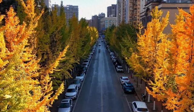 最低6℃！邵阳将迎大降温！