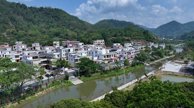 咖啡馆、钓鱼场……肇庆这条宝藏村，超多好玩！