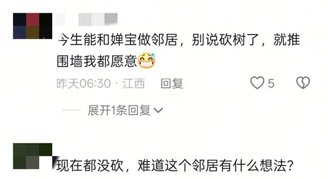 全红婵建房最新进展，邻居需求太苛刻，律师出狠招！婵宝有麻烦？
