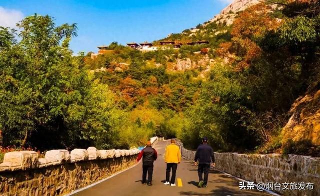 【乐游烟台】层林尽染，烟台海阳最是橙黄橘绿时