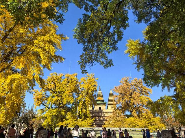 万里无云，阳光正好！周末到公园欣赏北京的秋