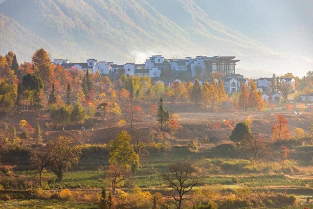 11月-12月，秋冬可去的6个地方，深秋时节好风光