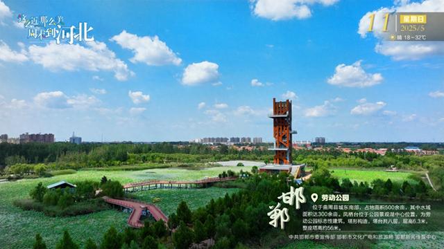 这么近 那么美 周末到河北——曲周劳动公园