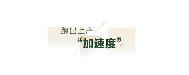中石油西南油气田天府气田致密气2025年上半年稳产增产纪实