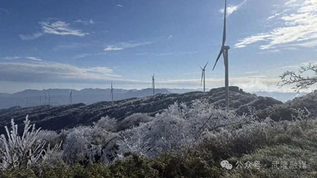 武隆：罩云山迎来今冬首场大范围雾凇美景