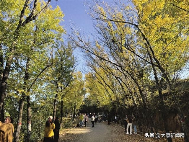 太原市民在马头水村附近的网红打卡点拍照