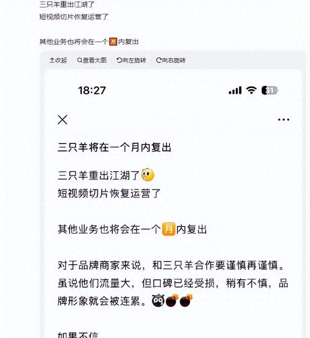 “三只羊”一个月内复出？