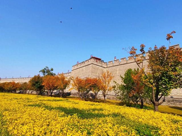 这个季节总要去趟正定，去邂逅那迷人的古建红和金秋黄！