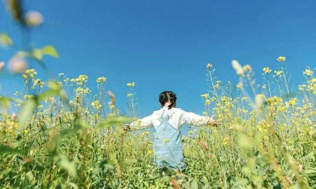 一次冲动旅行，亏损110万！昔日中产成负债家庭的噩梦严重警示