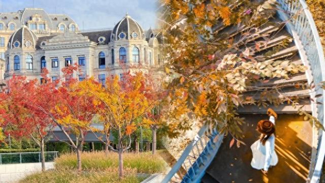 网红纷纷奔赴这！上海这座通往 “欧洲城堡” 的绝美旋梯火了！