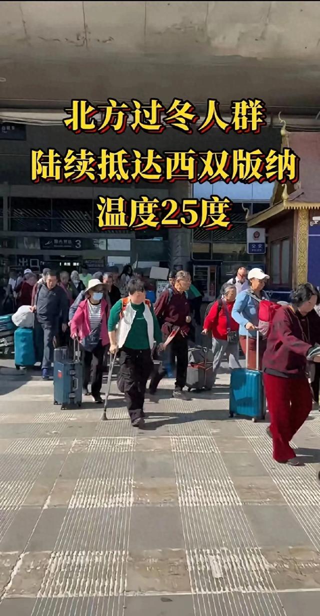 东北人南下,一场为家的迁徙。