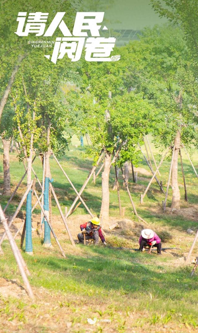 东西湖这座山，变了！