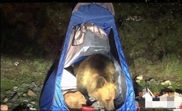 “完了！” 藏区自驾游，一觉醒来车灯照亮恐怖一幕，帐篷没了！