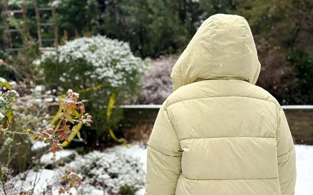 科普平谷｜售价千元羽绒服充绒量少引热议	，选购羽绒服如何避坑？