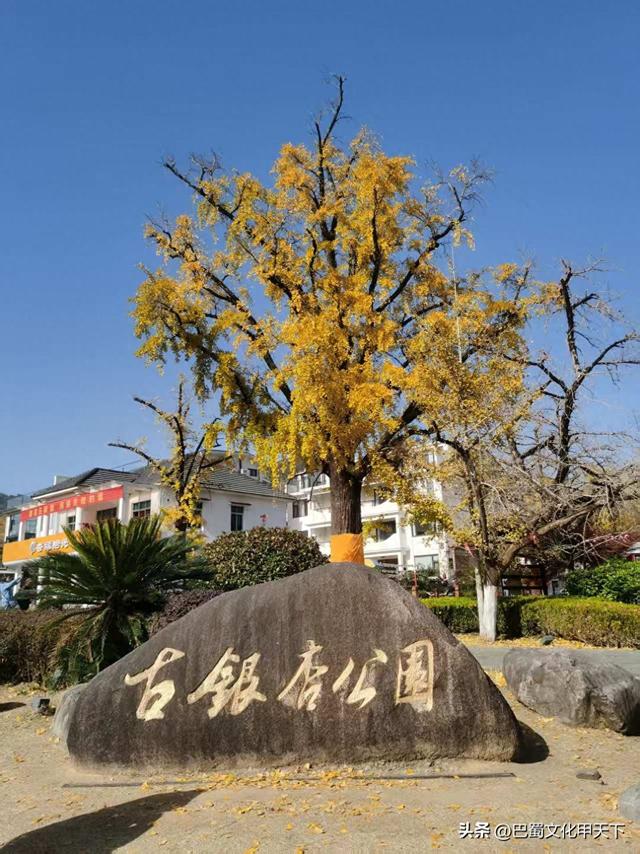 李吉华/秋染江南，情暖旅途(游记)