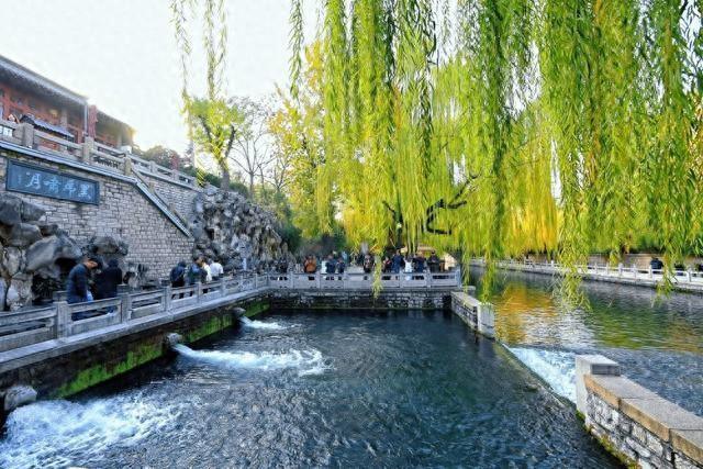 泉城十年：我的刚刚好时光|我在济南刚刚好