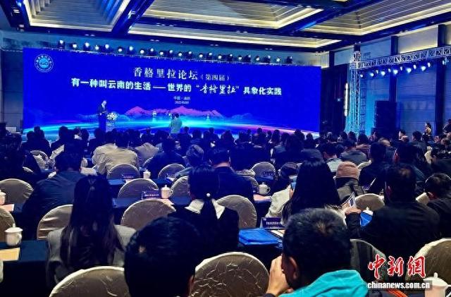 从诗意到可感 专家学者共话“香格里拉”具象化实践