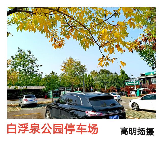 一叶落地，秋天到了，昌平秋色美。