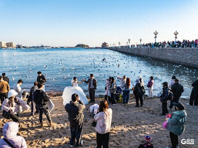 青岛冬日的海，是这座城市的浪漫注脚