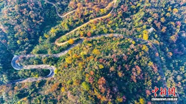近万人同登武汉木兰山 赏黄陂秋色如画