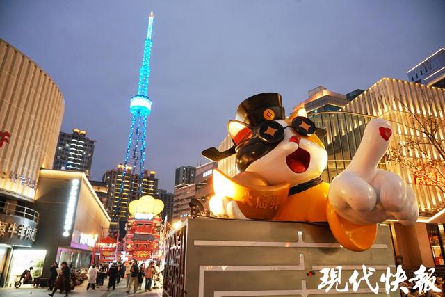 读城｜大“喵”弄！常州千年城隍巷成了“喵星人乐园”