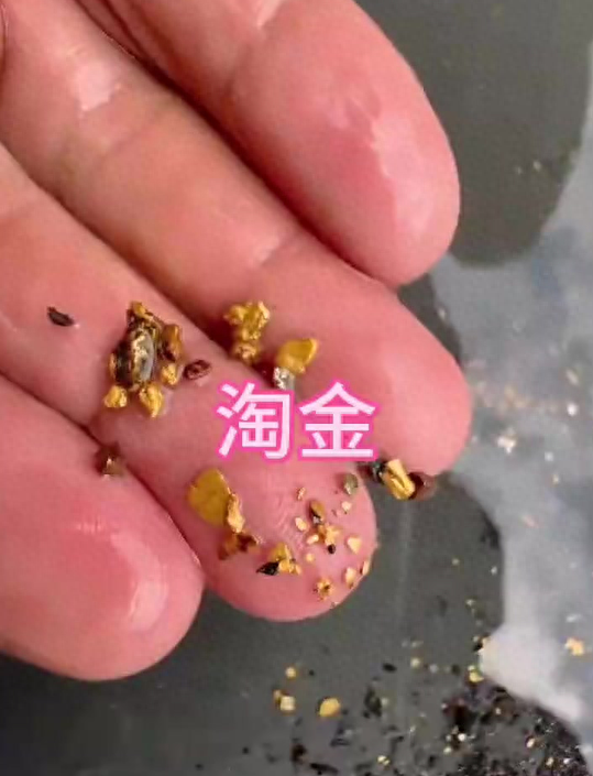 国庆“金矿游”爆火！花几十块就能淘金，淘到还能带走！