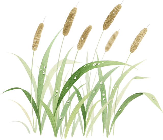 在蜀山，转角遇见美！这些地方已更新→